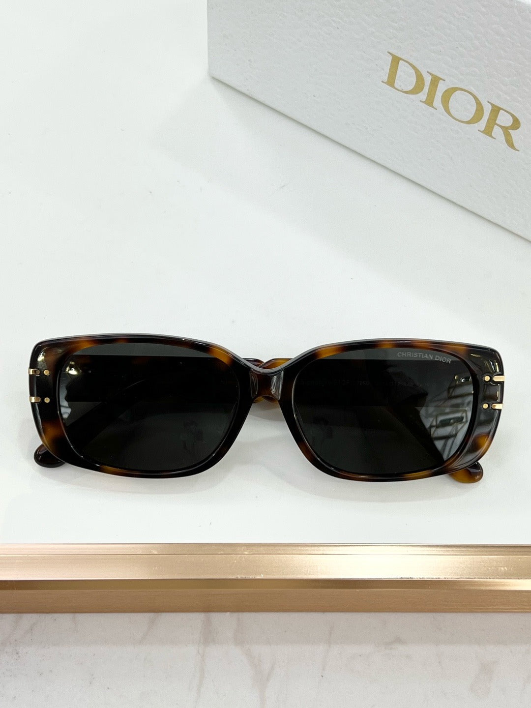 DIOR Signature S12F