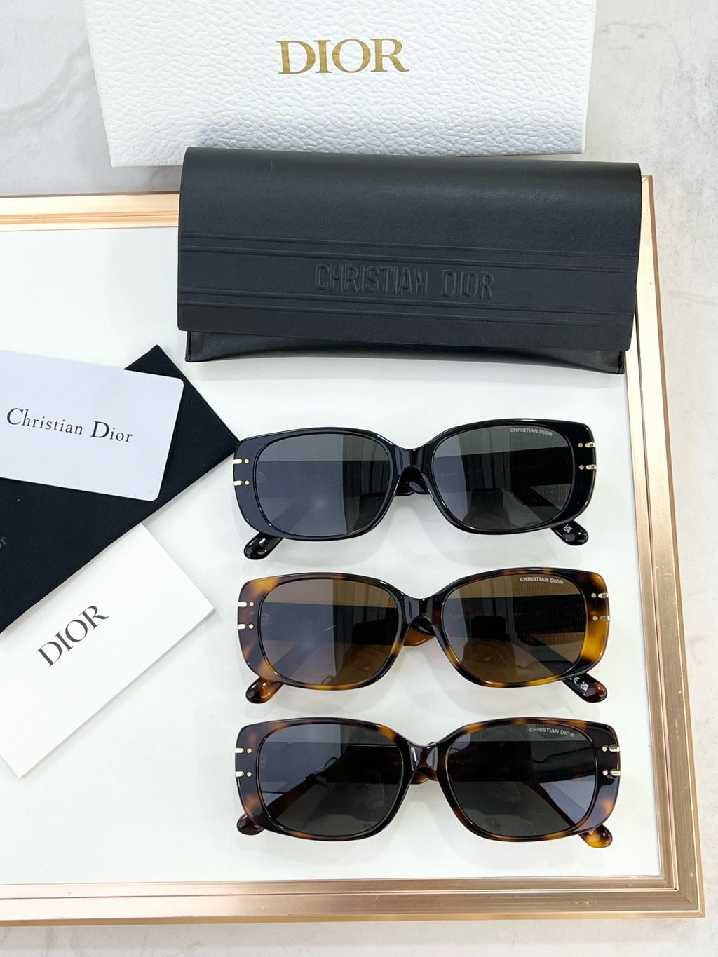 DIOR Signature S12F