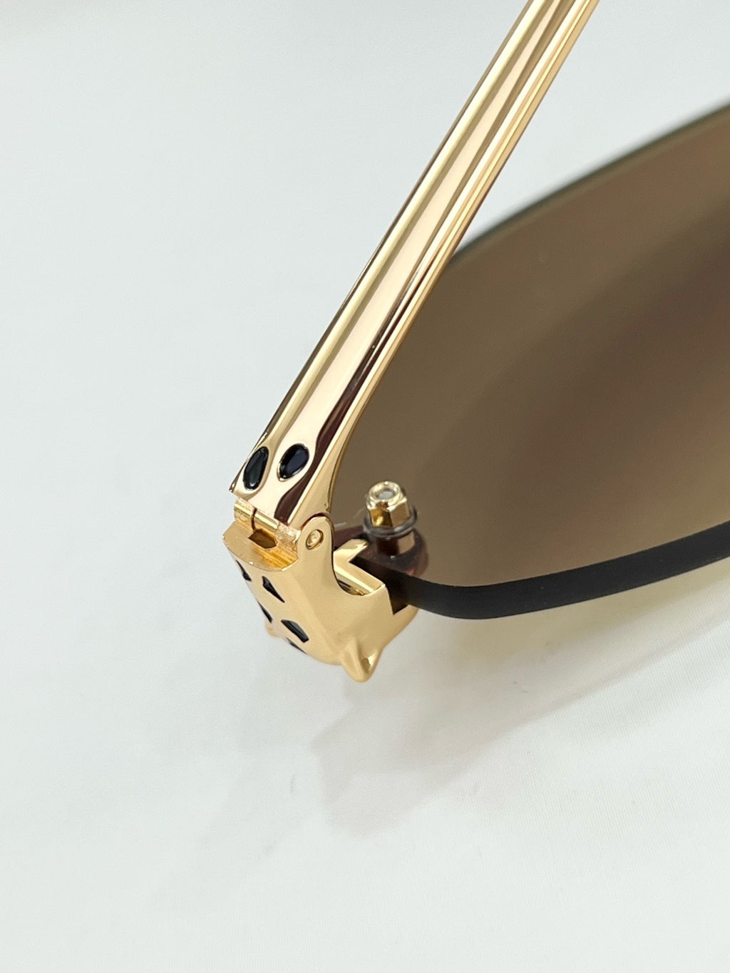 Cartier CT0637S