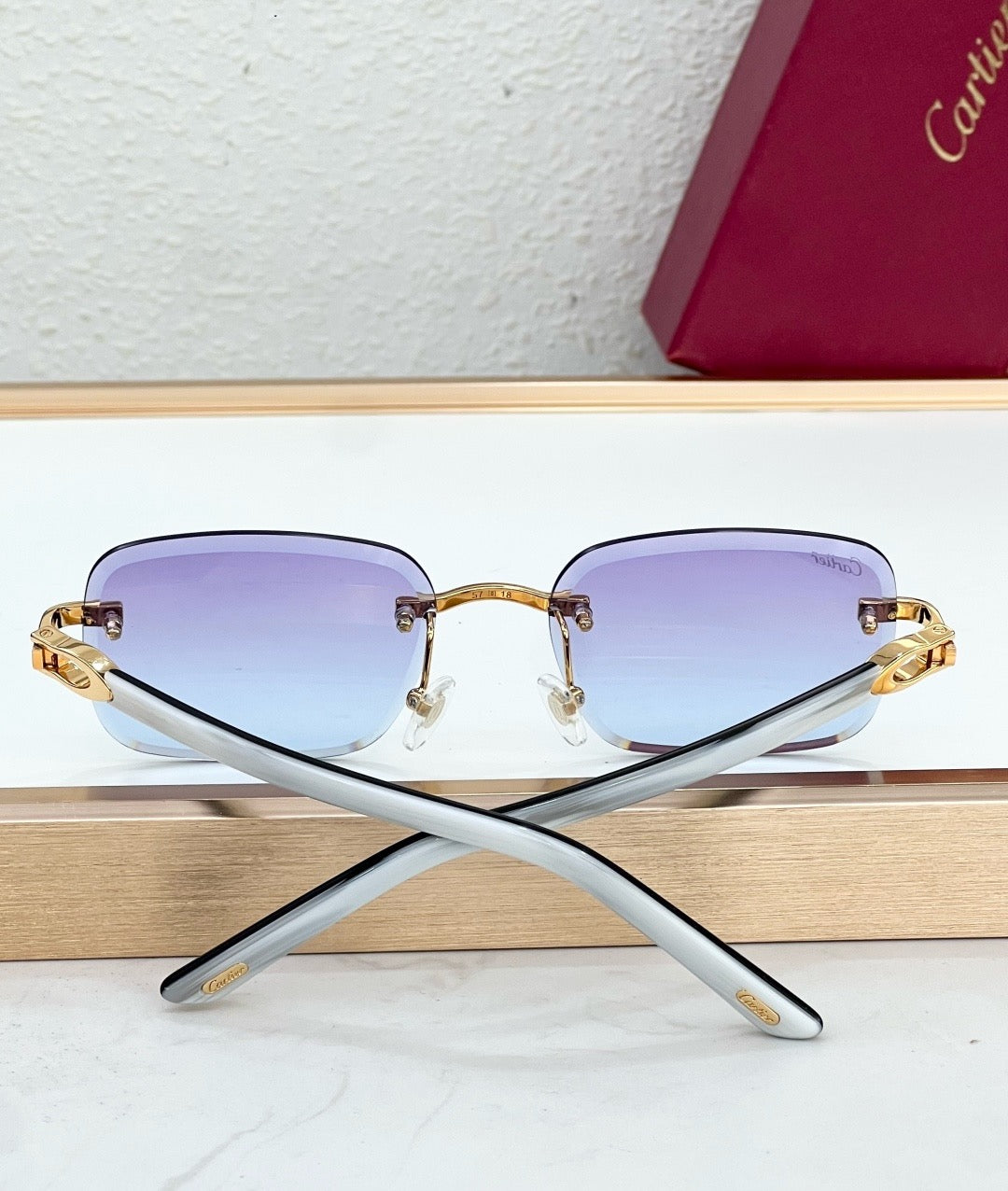 Cartier CT0785S